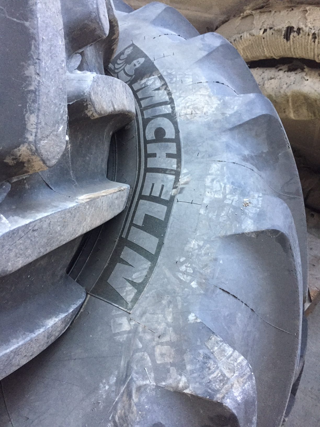 Pneumatici nuovi Michelin MULTIBIB