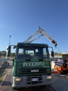 IMG_9556